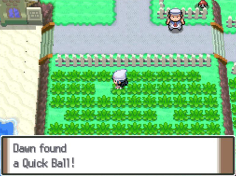Obtaining the Quick Ball on Route 222 / Pokémon Platinum