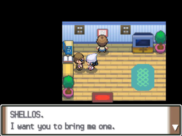 The Pokémon News Press reporter asking you to show him a Shellos / Pokémon Platinum