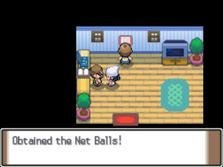 Receiving three Net Balls from the Pokémon News Press reporter / Pokémon Platinum