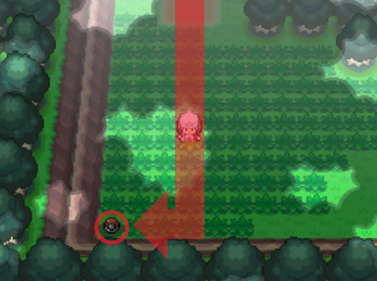 Approaching a Poké Ball item to the southwest / Pokémon Platinum