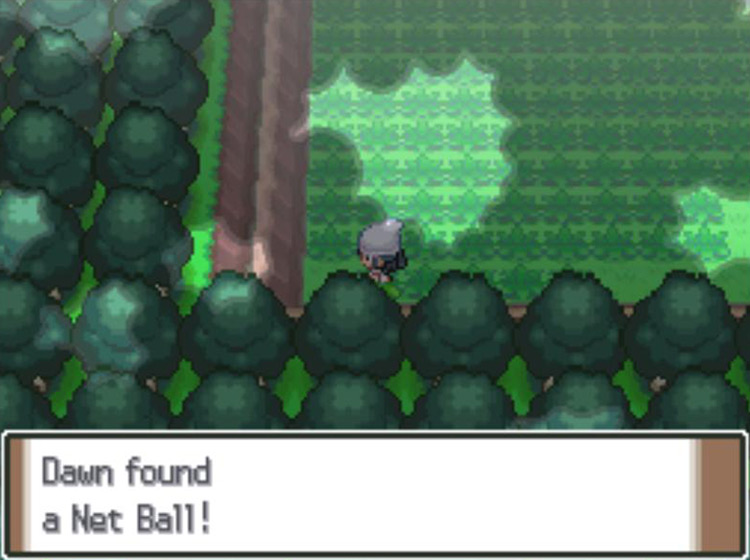Picking up a Net Ball in the Eterna Forest / Pokémon Platinum