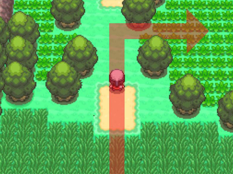 Taking a right into the enclosed field of shorter grass / Pokémon Platinum