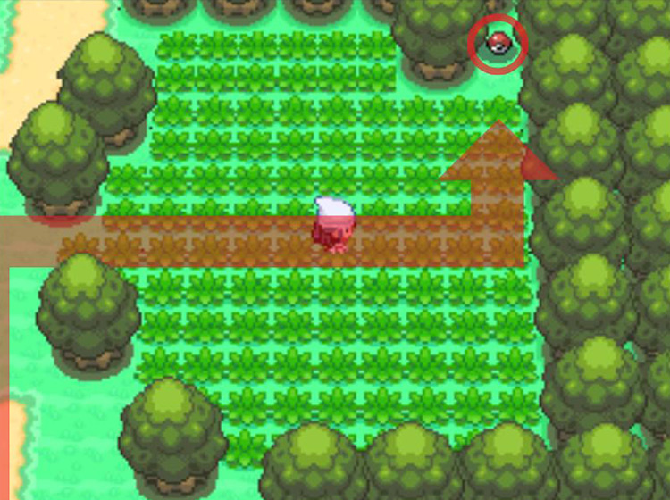 Heading for the Poké Ball in the northeastern corner of the grassy field / Pokémon Platinum