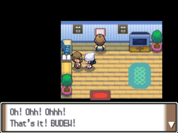 The reporter getting very excited over seeing a Budew / Pokémon Platinum