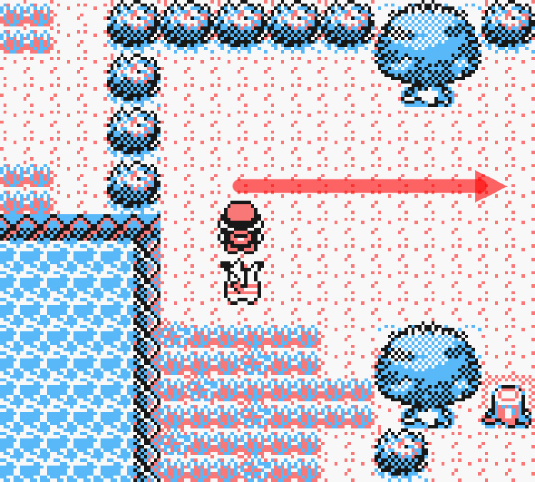 Above a patch of grass and in between two big trees in the north area / Pokémon Yellow