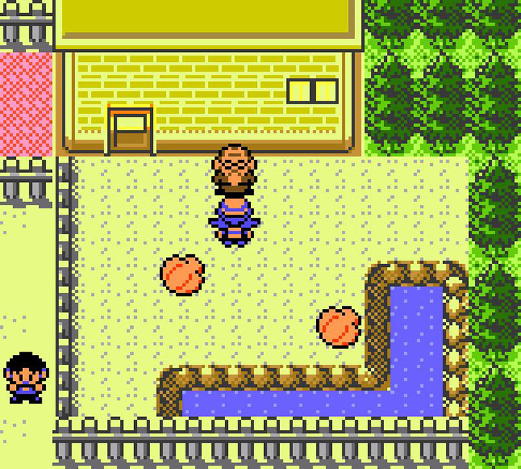 Facing the Day Care Man in the yard. / Pokémon Crystal