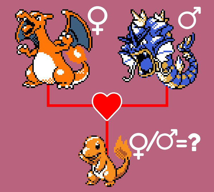 Visual explanation of Gender and Species inheritance. / Pokémon Crystal