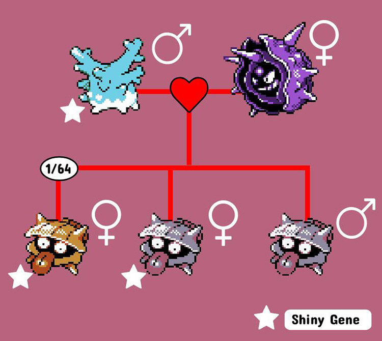 Visual explanation of Shiny Gene inheritance depending on gender. / Pokémon Crystal