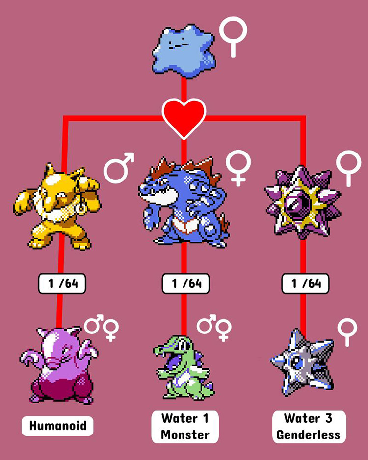 Some of Shiny Ditto’s potential Shiny descendants. / Pokémon Crystal
