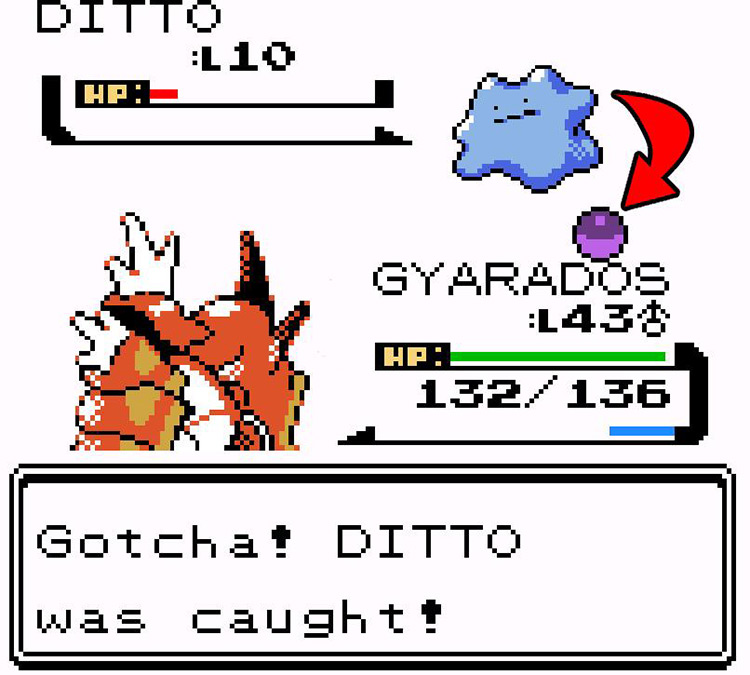 Shiny Ditto caught. / Pokémon Crystal