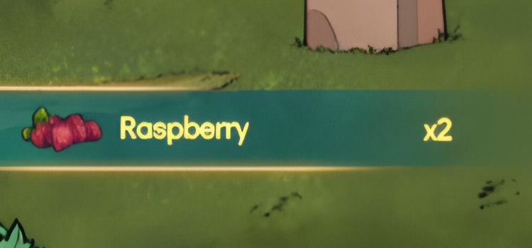 Getting x2 Raspberries