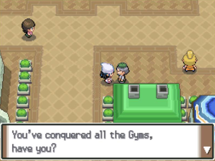 Talking to Mr. Goods after collecting all eight Gym Badges. / Pokémon Platinum