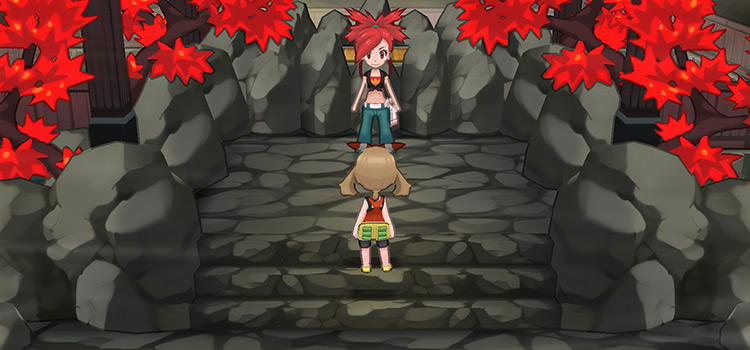 Facing Flannery in ORAS