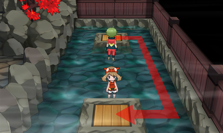 The Gym's northeast section / Pokémon Omega Ruby and Alpha Sapphire