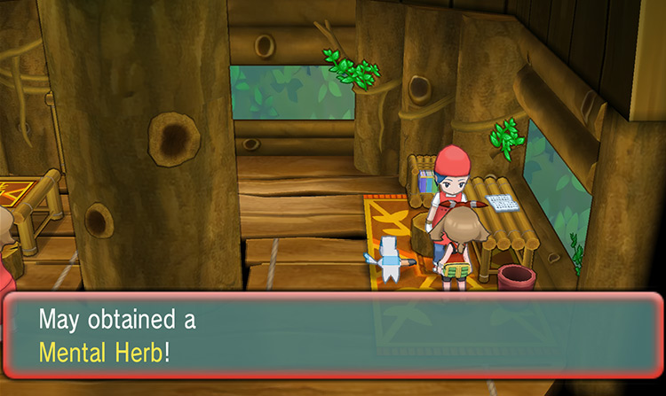 Obtaining a Mental Herb from a Pokemon Breeder / Pokémon Omega Ruby and Alpha Sapphire