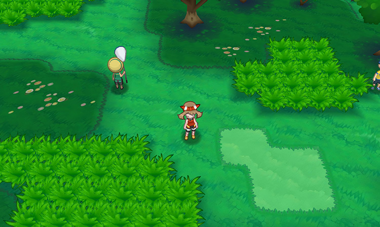 Route 102 / Pokémon Omega Ruby and Alpha Sapphire