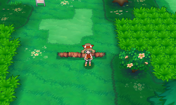 Route 101 / Pokémon Omega Ruby and Alpha Sapphire