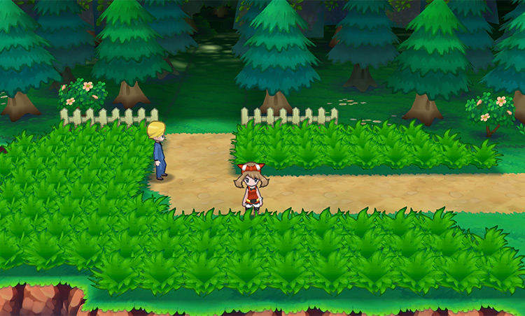 Route 104 / Pokémon Omega Ruby and Alpha Sapphire