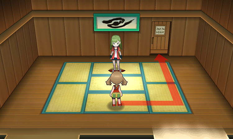 Norman’s room is unlocked / Pokémon Omega Ruby and Alpha Sapphire