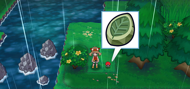 The Leaf Stone on Route 119
