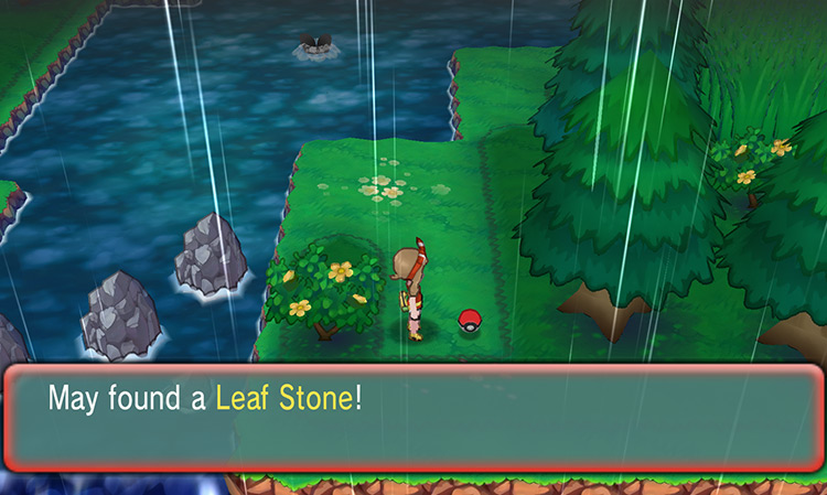 Obtaining a Leaf Stone on Route 119. / Pokémon Omega Ruby and Alpha Sapphire