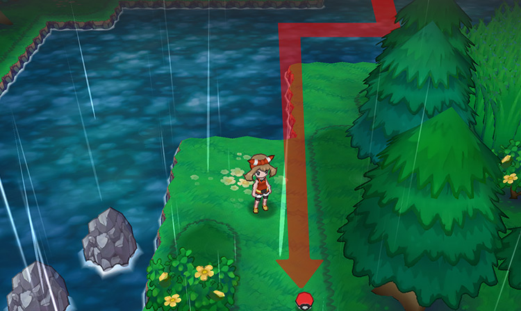 The Leaf Stone's location on Route 119 / Pokémon Omega Ruby and Alpha Sapphire