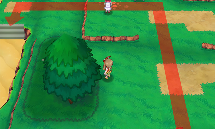Route 115 / Pokémon Omega Ruby and Alpha Sapphire
