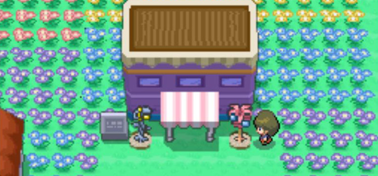 Two berry plots near the flower shop in Pokémon Platinum