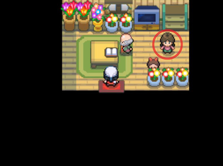 Identifying the Mulch seller in the Berry Master’s house / Pokémon Platinum