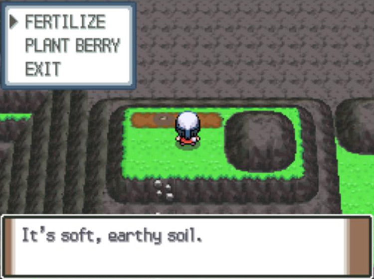 Choosing to fertilize a Berry Plot with Mulch / Pokémon Platinum