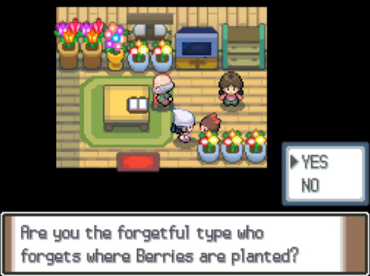 Answering Yes to the girl’s question to receive the Berry Searcher app / Pokémon Platinum