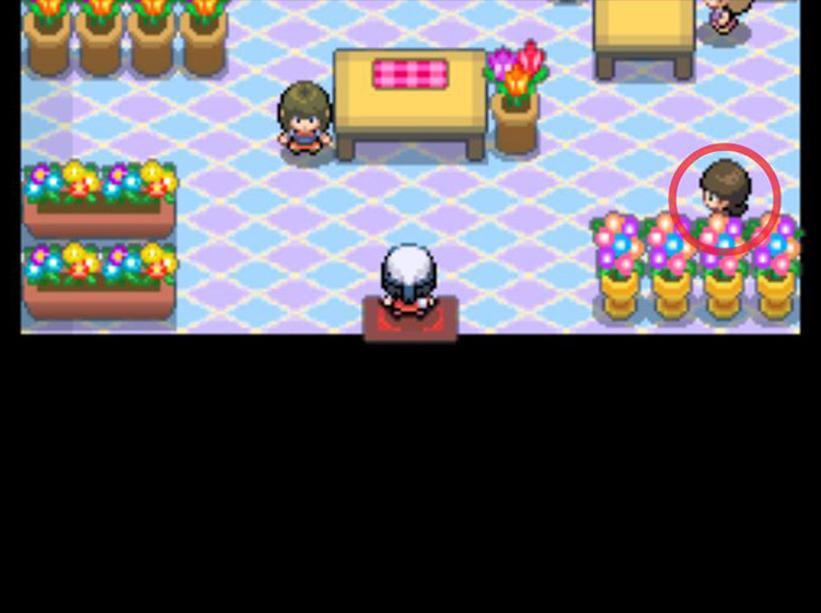 Locating the Berry Girl inside the flower shop / Pokémon Platinum