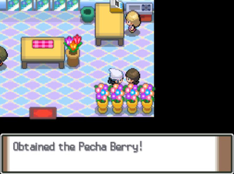 Receiving a Pecha Berry from the Flower Shop Berry Girl / Pokémon Platinum