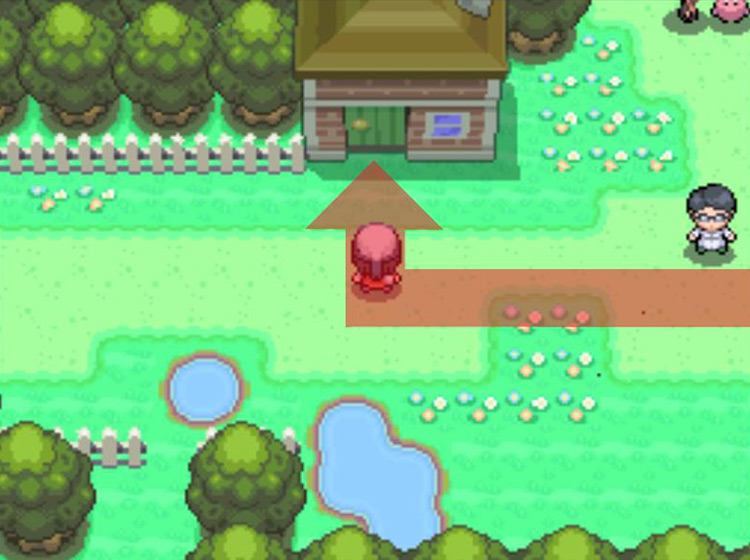 Entering the Berry Woman’s house / Pokémon Platinum