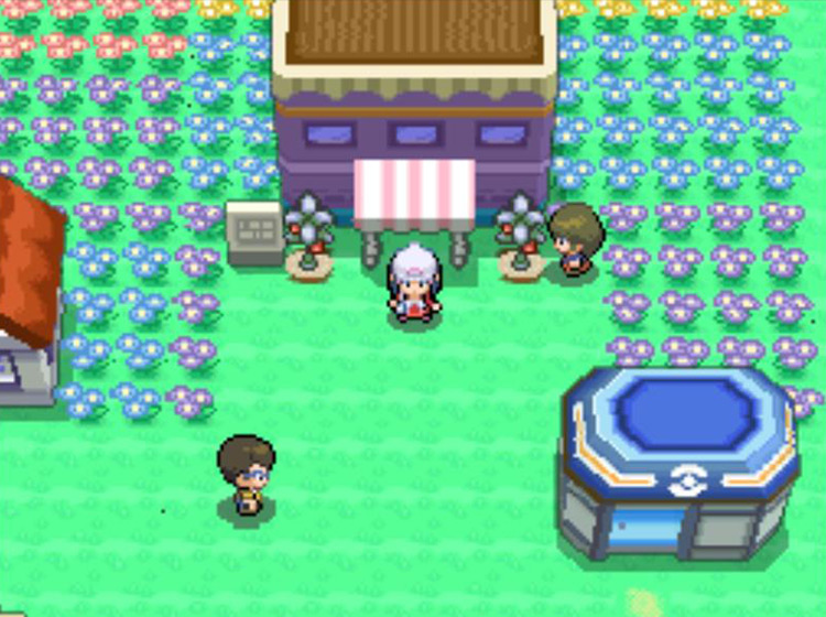 The 2 Berry Plots in front of the flower shop in Floaroma Town / Pokémon Platinum