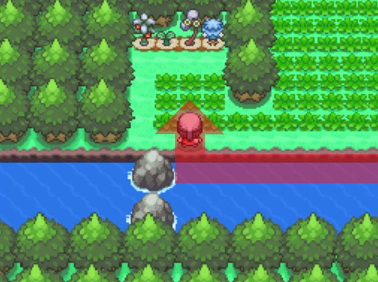 Heading for the Berry Plots to the north / Pokémon Platinum
