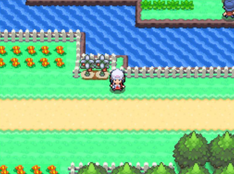 The two Berry Plots just east of Floaroma Town / Pokémon Platinum