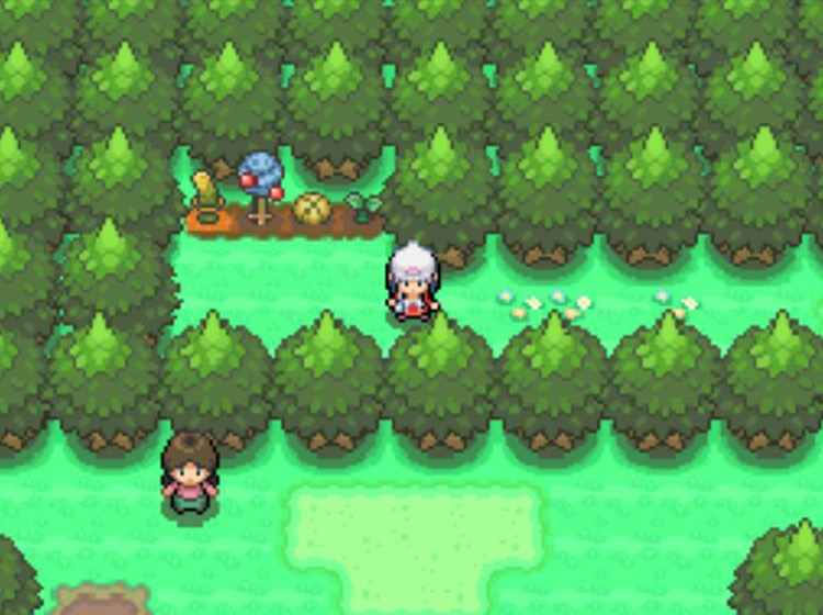 The four Berry Plots in the Eterna Forest shortcut / Pokémon Platinum