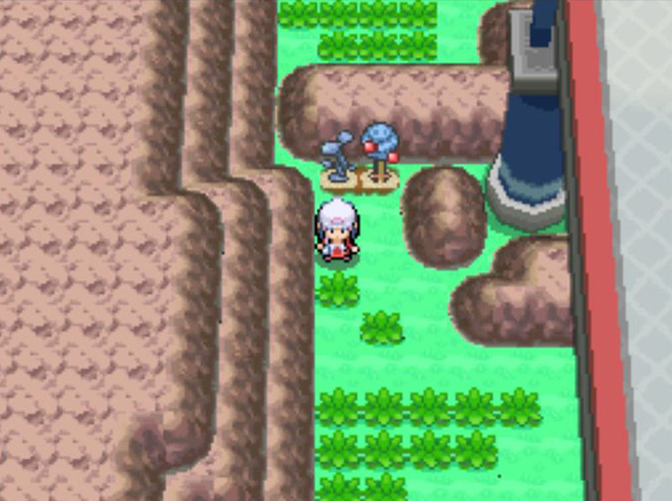 The two Berry Plots to the west of Cycling Road / Pokémon Platinum
