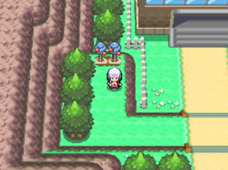 The two Berry Plots at the southern end of Cycling Road / Pokémon Platinum