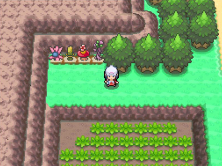 The four Berry Plots on Route 207, west from the mouth of Mt. Coronet / Pokémon Platinum