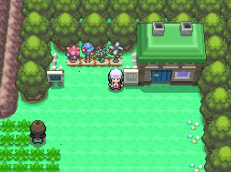The Berry Plots next to the Berry Master’s house on Route 208 / Pokémon Platinum