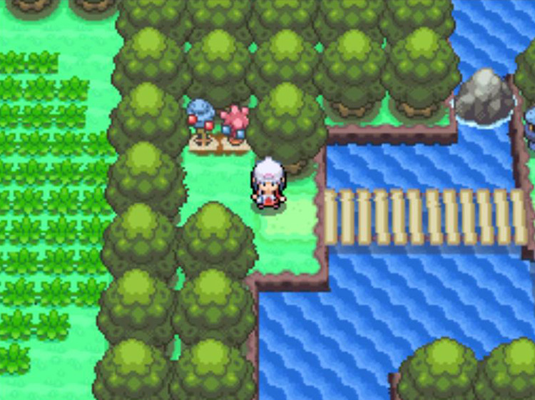 The Berry Plots to the northwest of the Twin trainers / Pokémon Platinum
