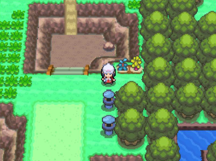 The two Berry Plots to the south of the Lost Tower / Pokémon Platinum