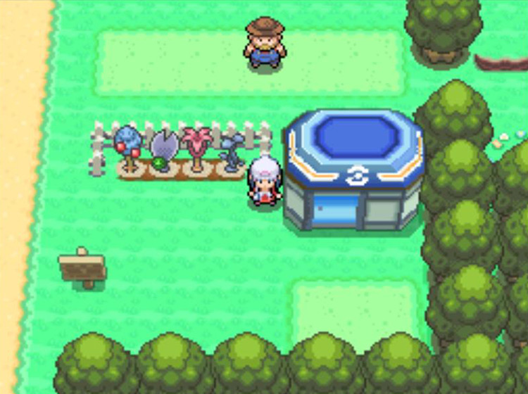 The four Berry Plots next to the Poké Mart in Solaceon Town / Pokémon Platinum