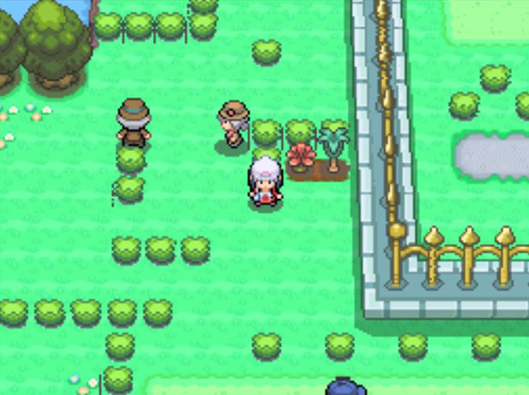 The two Berry Plots to the west of the Pokémon Mansion / Pokémon Platinum