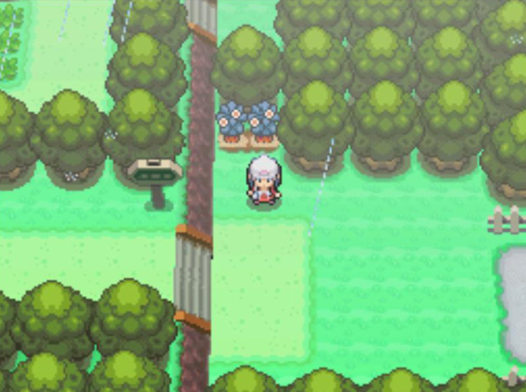 The Berry Plots on Route 215 that lie directly west of Veilstone City / Pokémon Platinum