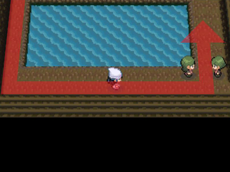 Skirting the rectangular lake / Pokémon Platinum