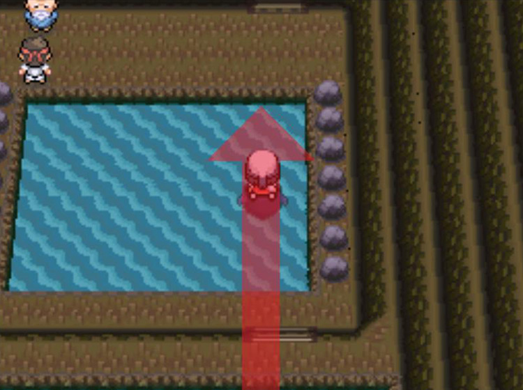 Cutting across another lake to the north / Pokémon Platinum