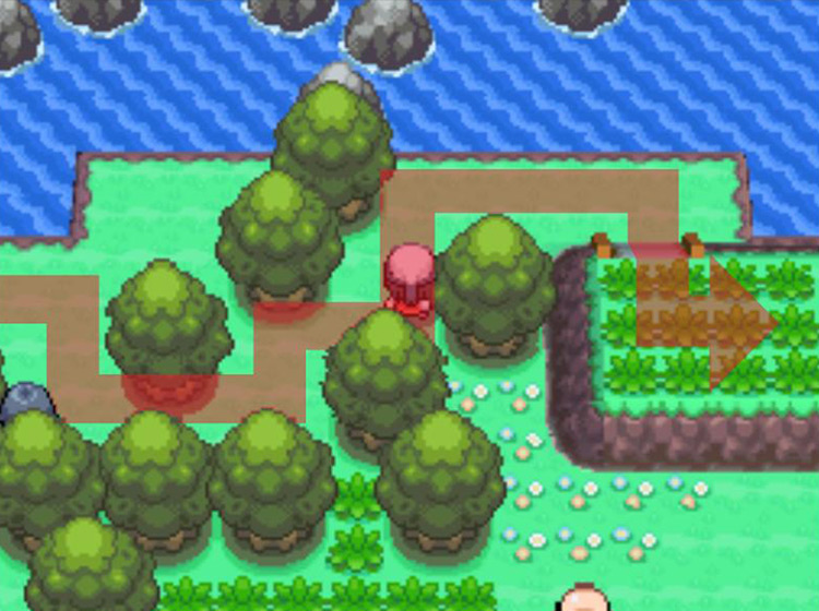 Walking through the maze-like path through the trees / Pokémon Platinum